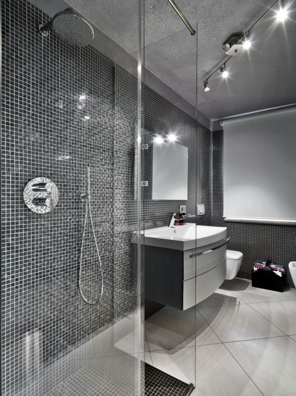 Sleek Bathroom Shower Space